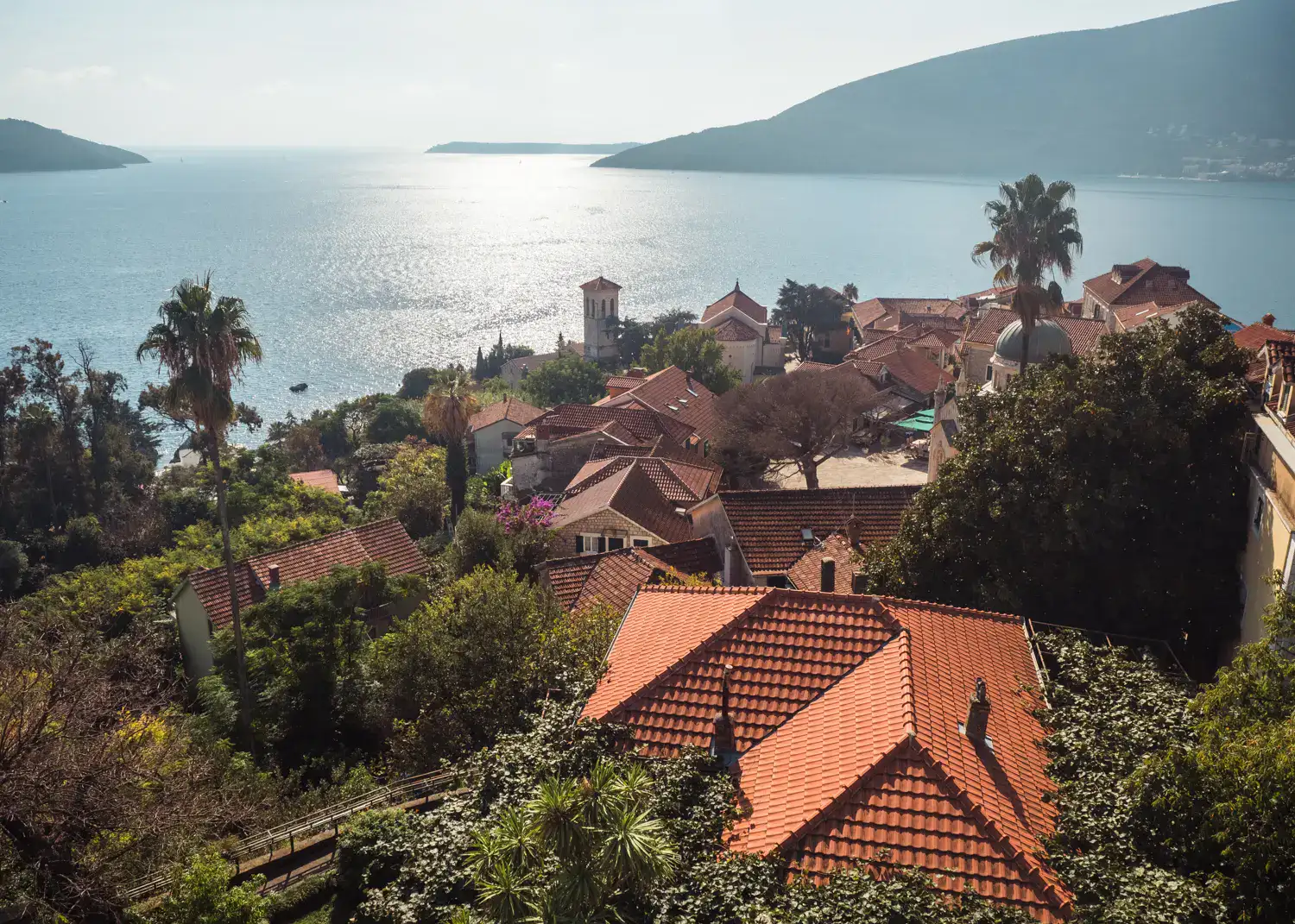 View of orange rooftops surrounded by greenery and palm trees by the ocean with islands in the background in a sunny day in Herceg Novi, see why Montenegro is the best destination to visit in October.