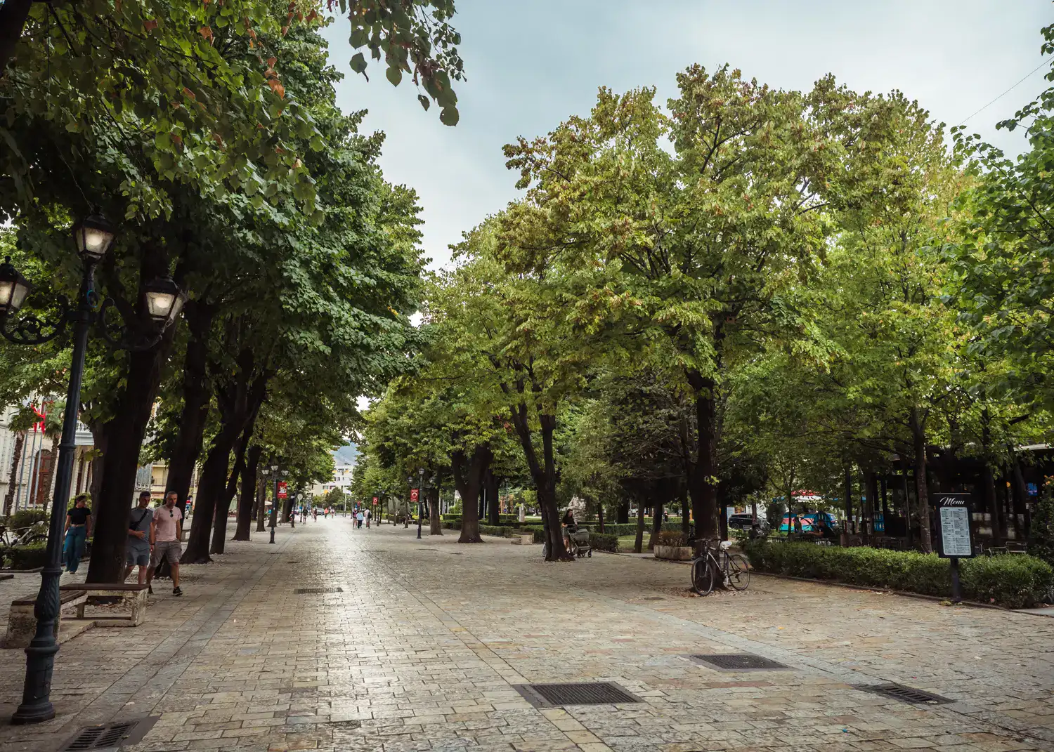 Wide, tiled pedestrian street with mature trees on both sides creating shade, in Shkoder Albania.