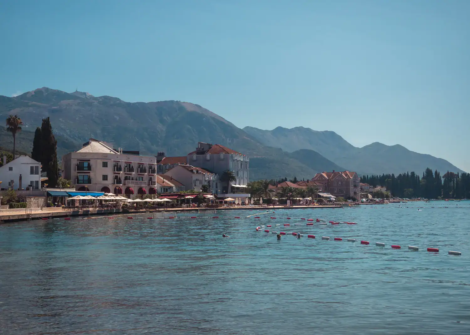 Waterfront promenade in Tivat, Montenegro, with a few palm trees, cafes and buildings along the shore, clear blue Adriatic waters, and mountains in the background, trees on the right on a sunny day.