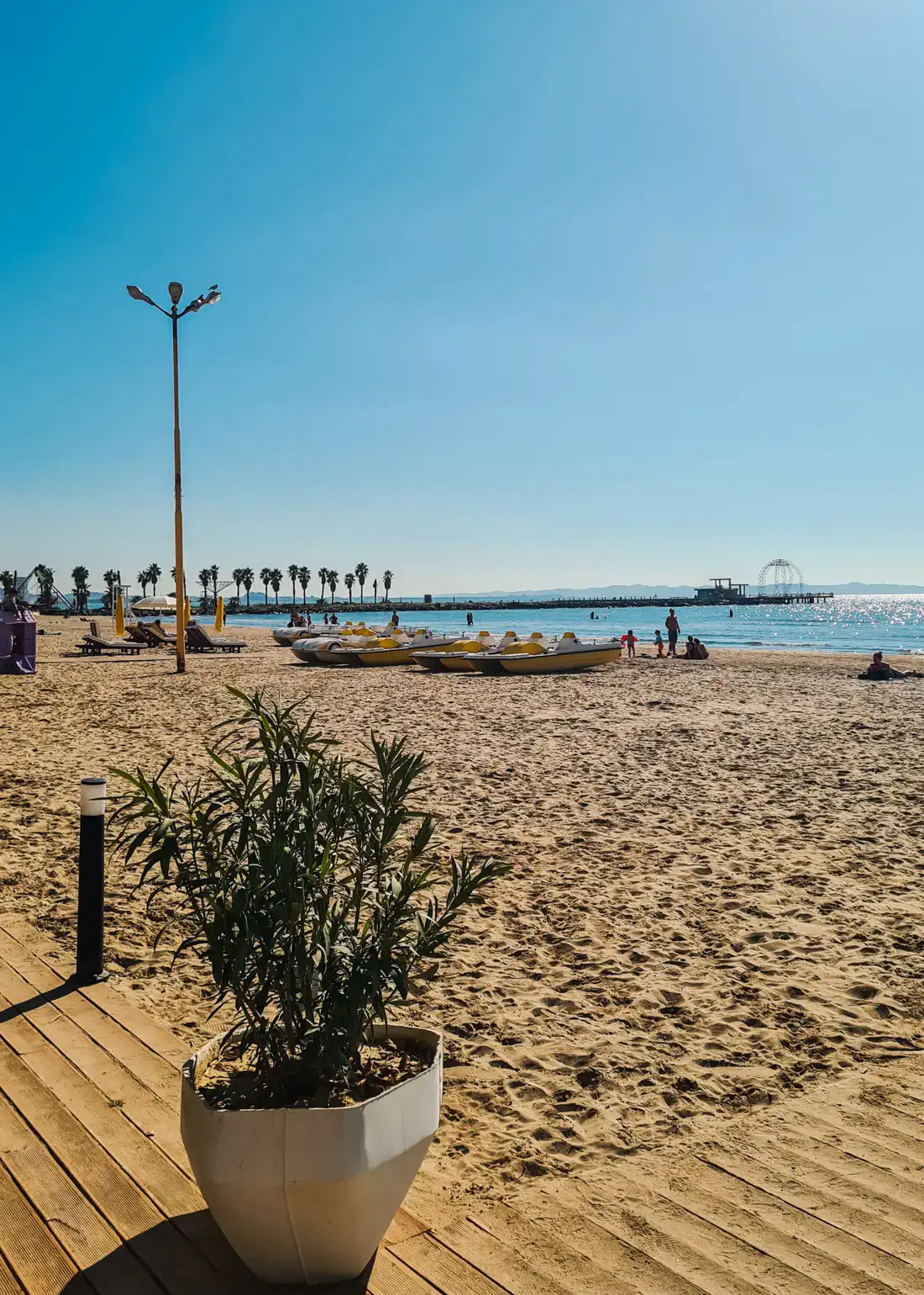 Plant in a beige pot on a wooden path on D&uuml;rres Beach with golden sand, pier with palm trees in the background on a sunny day with blue skies, one of the cheapest beach destinations in Europe.