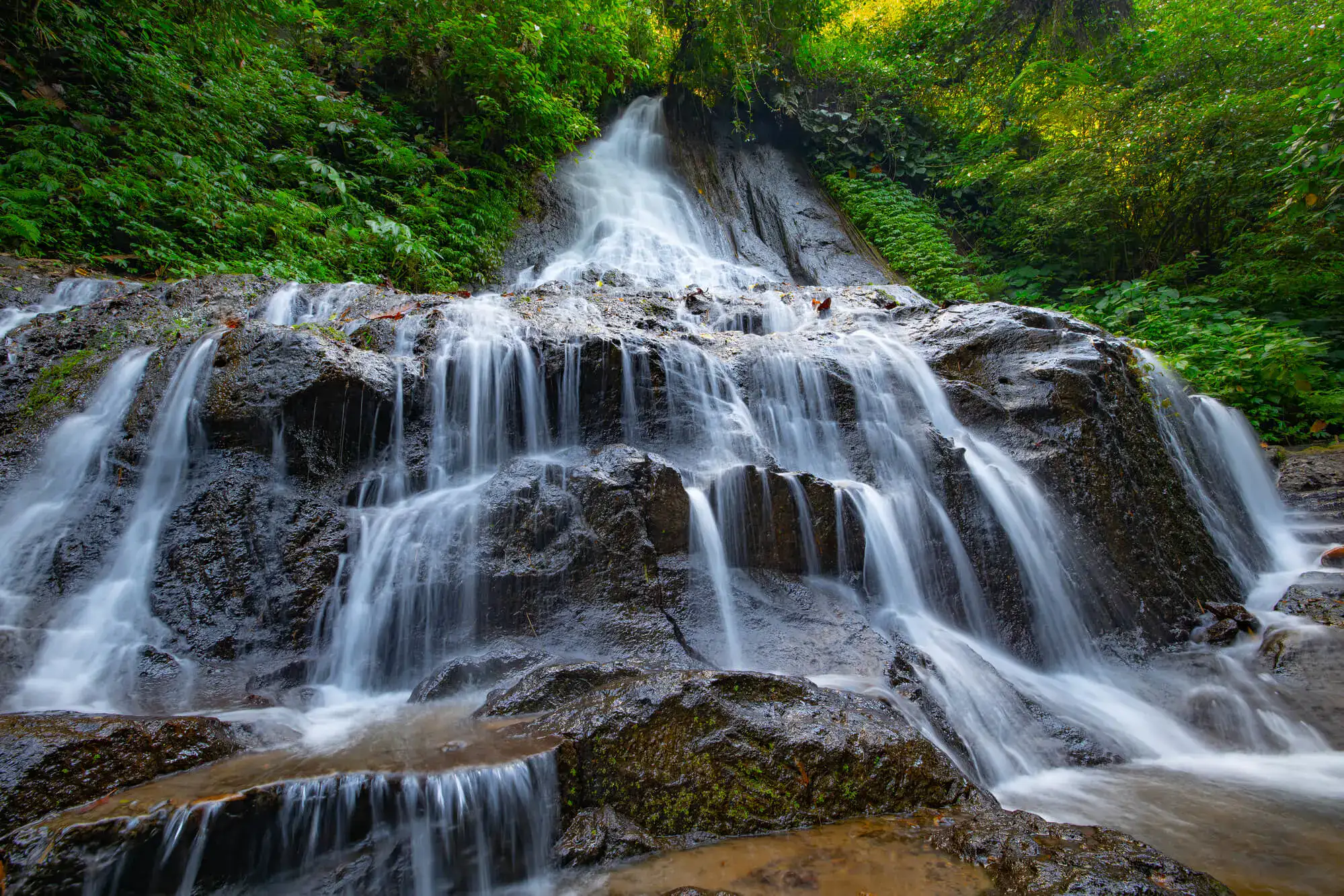 Ubad Rice My 15 favorite waterfalls near Ubud Bali (including map) 2026