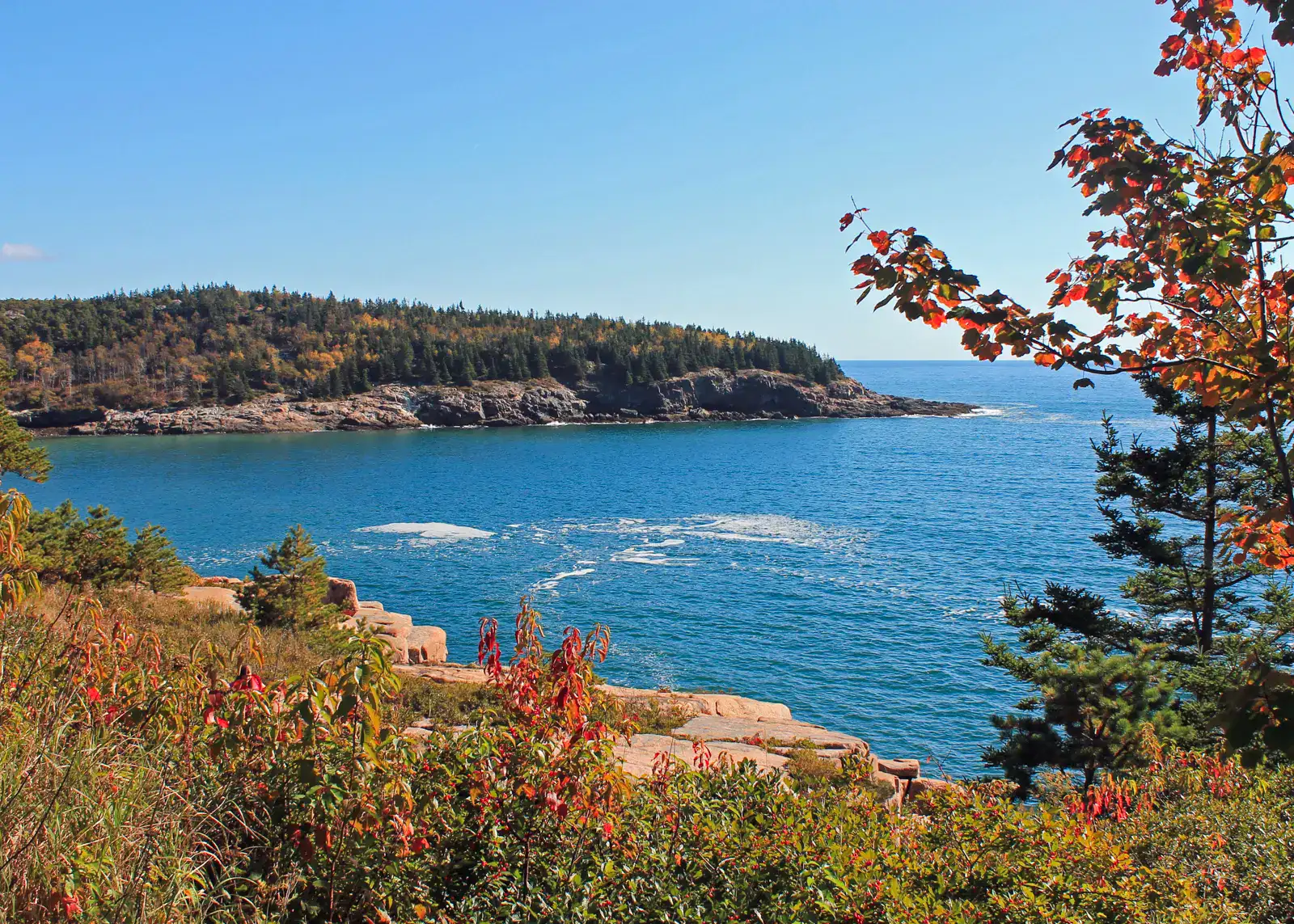 Looking through green, red and orange foliage on blue ocean and an outcrop covered in greenery on a sunny day with blue skies in Acadia&nbsp;National Park, one of the best places to visit in USA in October.