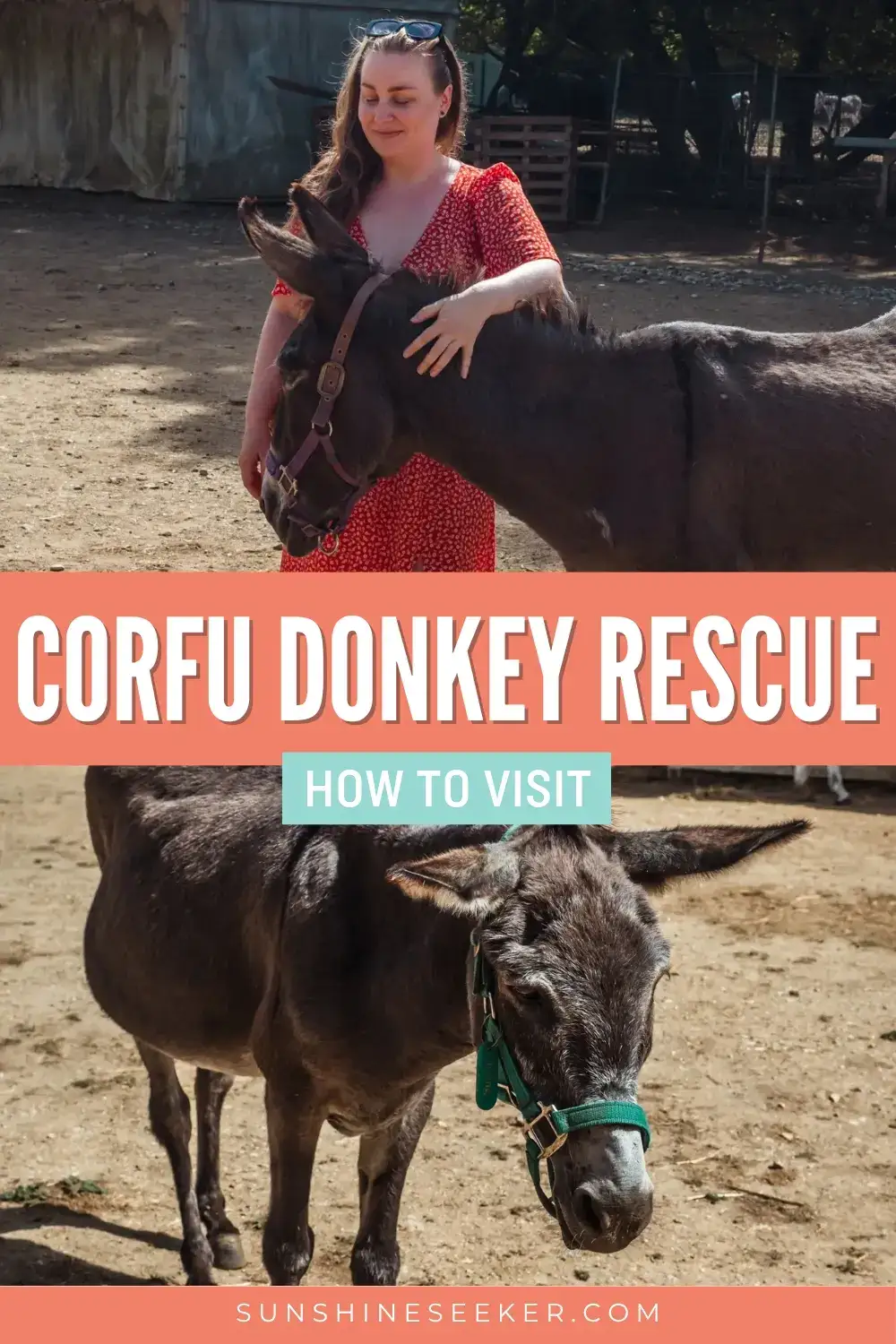 Looking for a meaningful thing to do in Corfu? Add Corfu Donkey Rescue to your itinerary! This peaceful donkey sanctuary near Doukades is home to rescued donkeys, along with a few other furry residents. Read my guide to visiting Corfu Donkey Rescue, including how to get there, what to expect and my personal experience at this special animal sanctuary in Corfu.