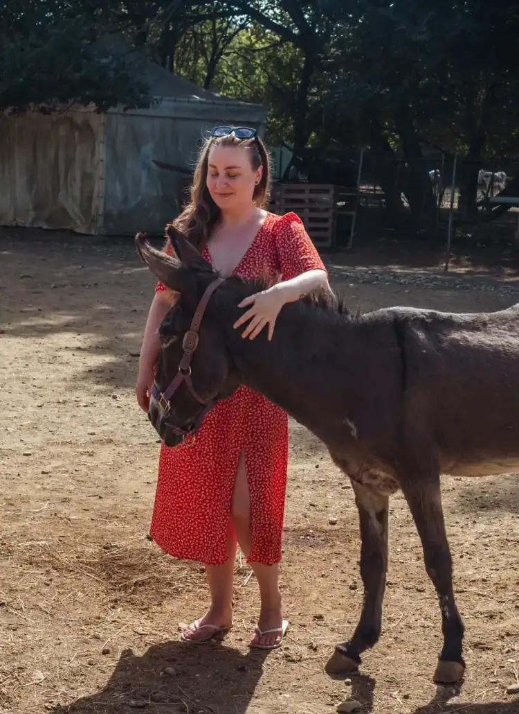Woman with long brown hair, wearing a red dress and sunglasses on her head, holding her hand around the neck of a dark donkey out in a dirt paddock at Corfu Donkey Rescue.