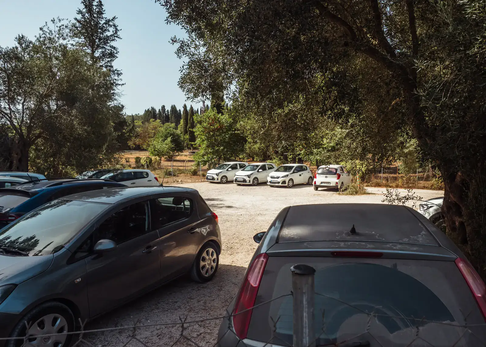 Grey and white cars parked along the sides of a gravel parking lot, surrounded trees at Corfu Donkey Rescue on a sunny day.