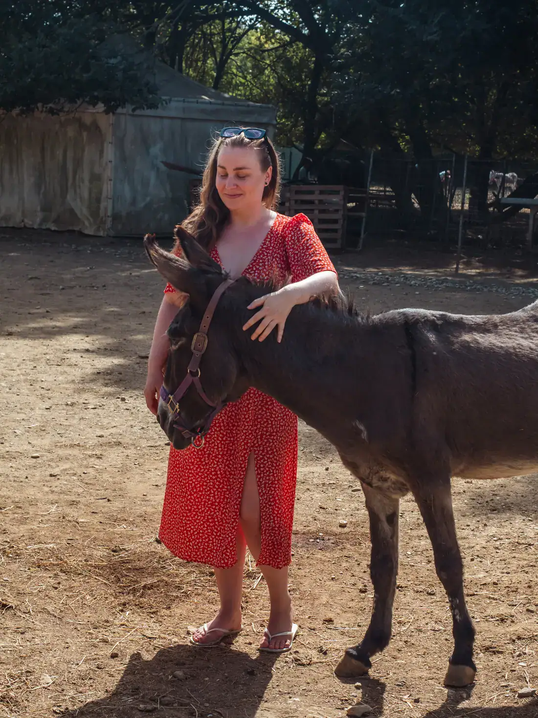 Woman with long brown hair, wearing a red dress and sunglasses on her head, holding her hand around the neck of a dark donkey out in a dirt paddock at Corfu Donkey Rescue.