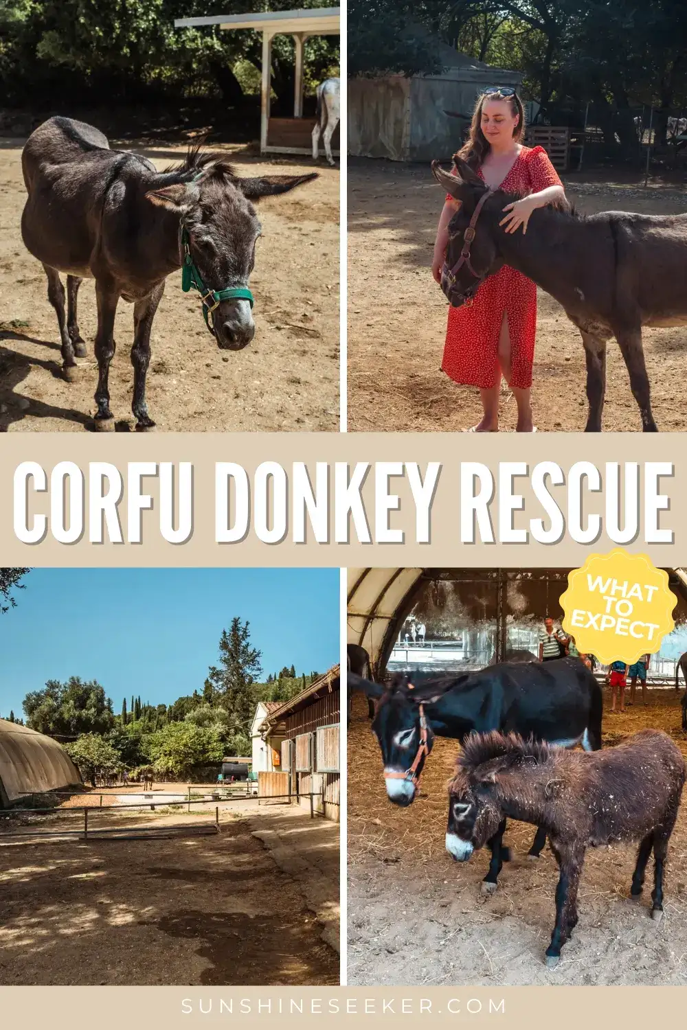 One of the most heartwarming things to do in Corfu isn't a beach at all. Just outside the popular resort areas, Corfu Donkey Rescue gives abandoned, injured and elderly donkeys a safe place to live out their lives. If you love animals and want to experience a different side of Corfu, this donkey sanctuary is well worth adding to your itinerary.