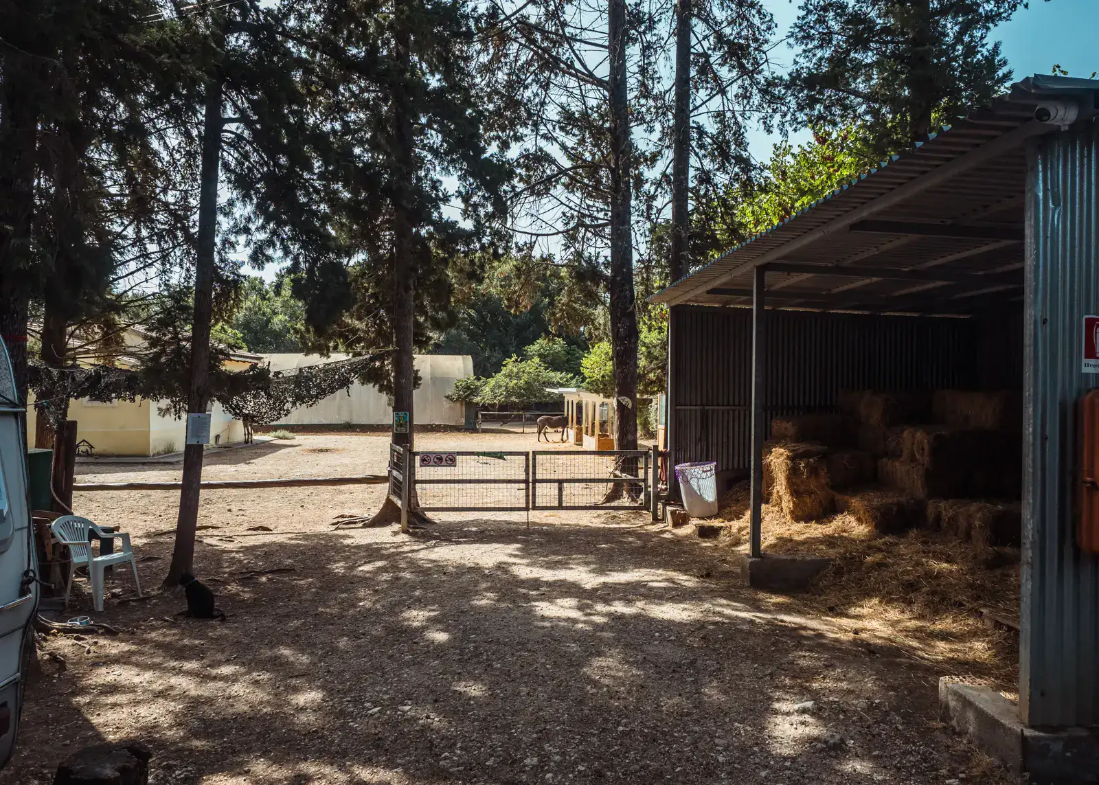 The entrance of Corfu Donkey Rescue with a metal shed on the right, full of hay, gate between the trees straight ahead and the edge of a caravan and a white chair on the left.