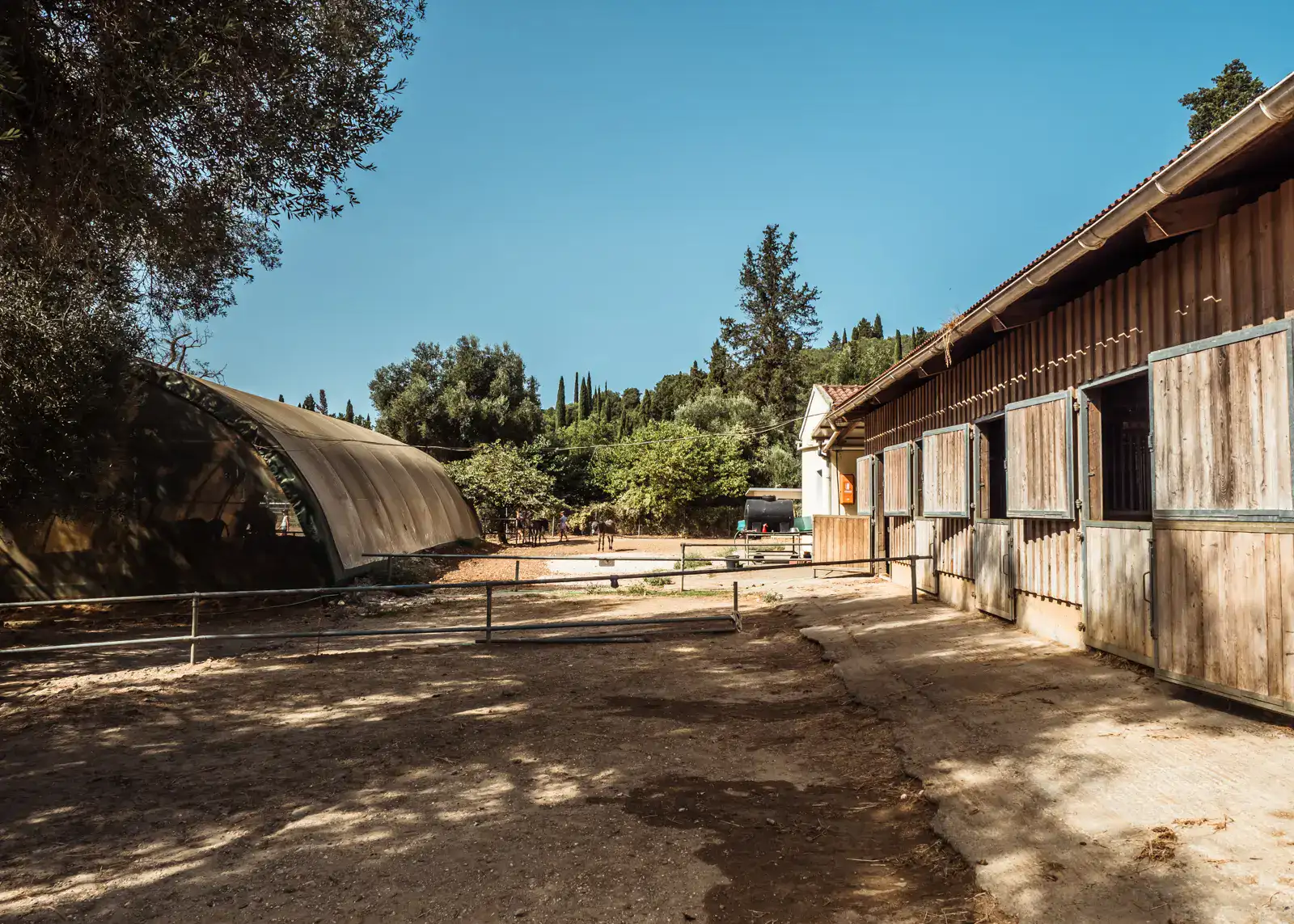 Standing in a dirt paddock at Corfu Donkey Recue with a wooden stable on the right, green forest in the background and an arched tent shaded area for the donkeys to the left.