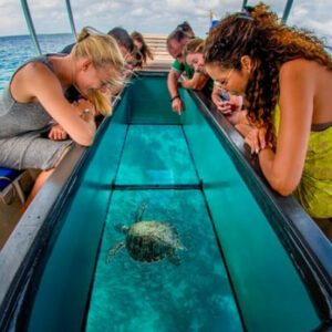 Glass Bottom Boat Trip