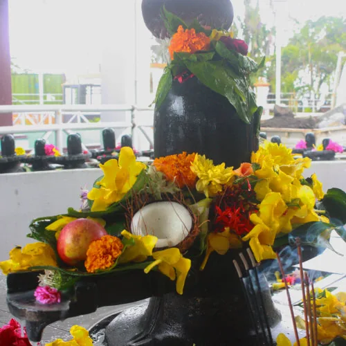 visit grand bassin maha shivaratri 4