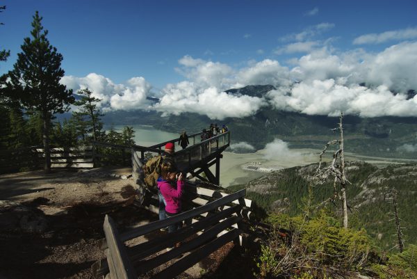 Chief Lookout