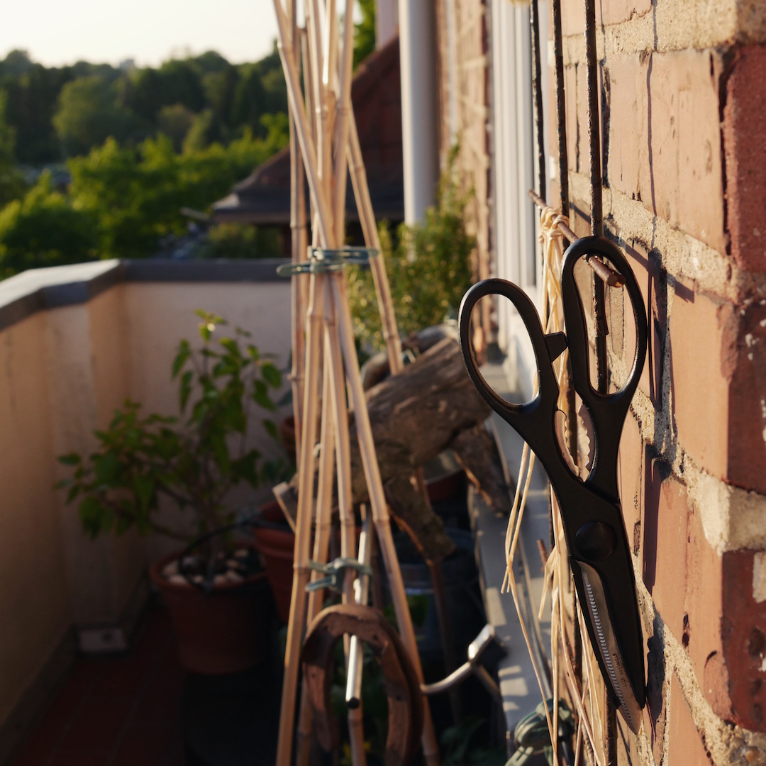 Meanwhile on the Balcony