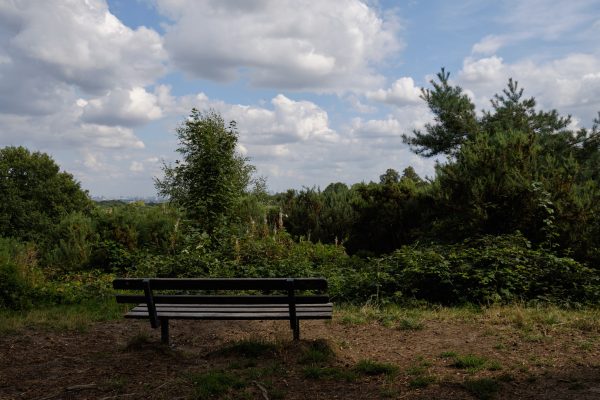 Hampstead Heath