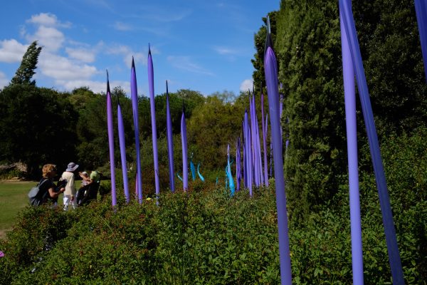 Chihuly