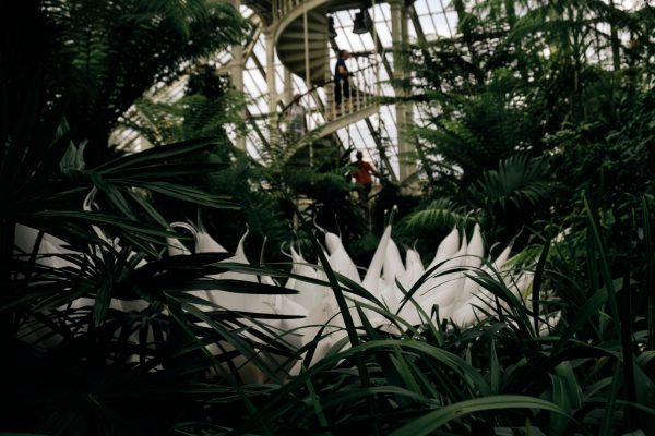 Temperate House