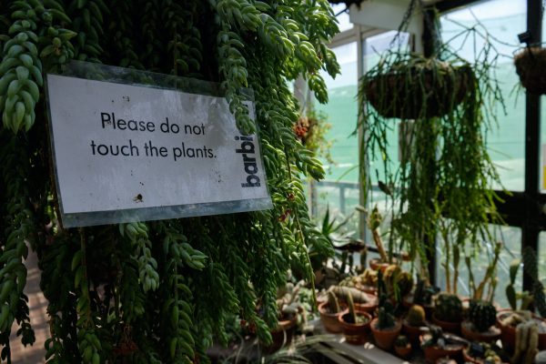 Please do not touch the plants