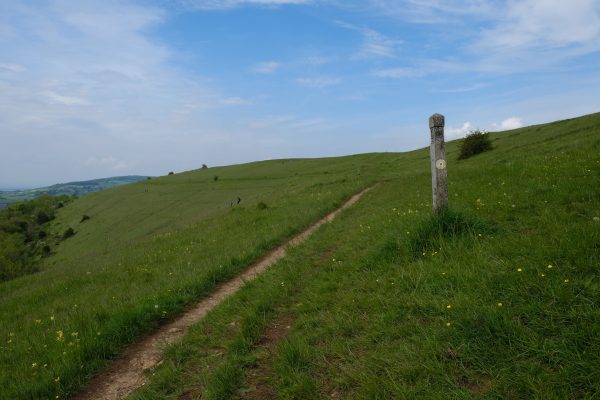 Selsley Common