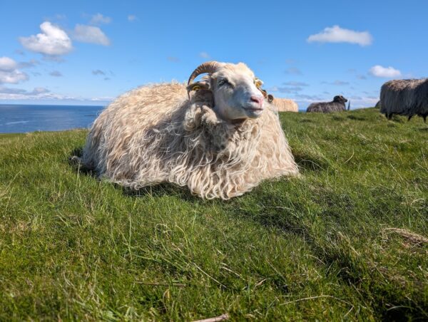 Helgoland