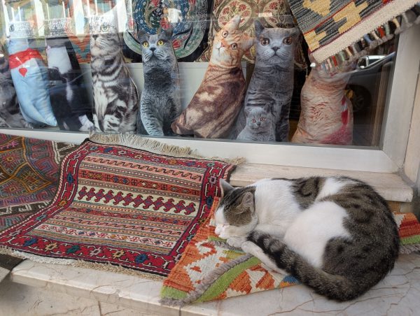 Symbolbild Istanbul (nicht Konstantinopel!)
