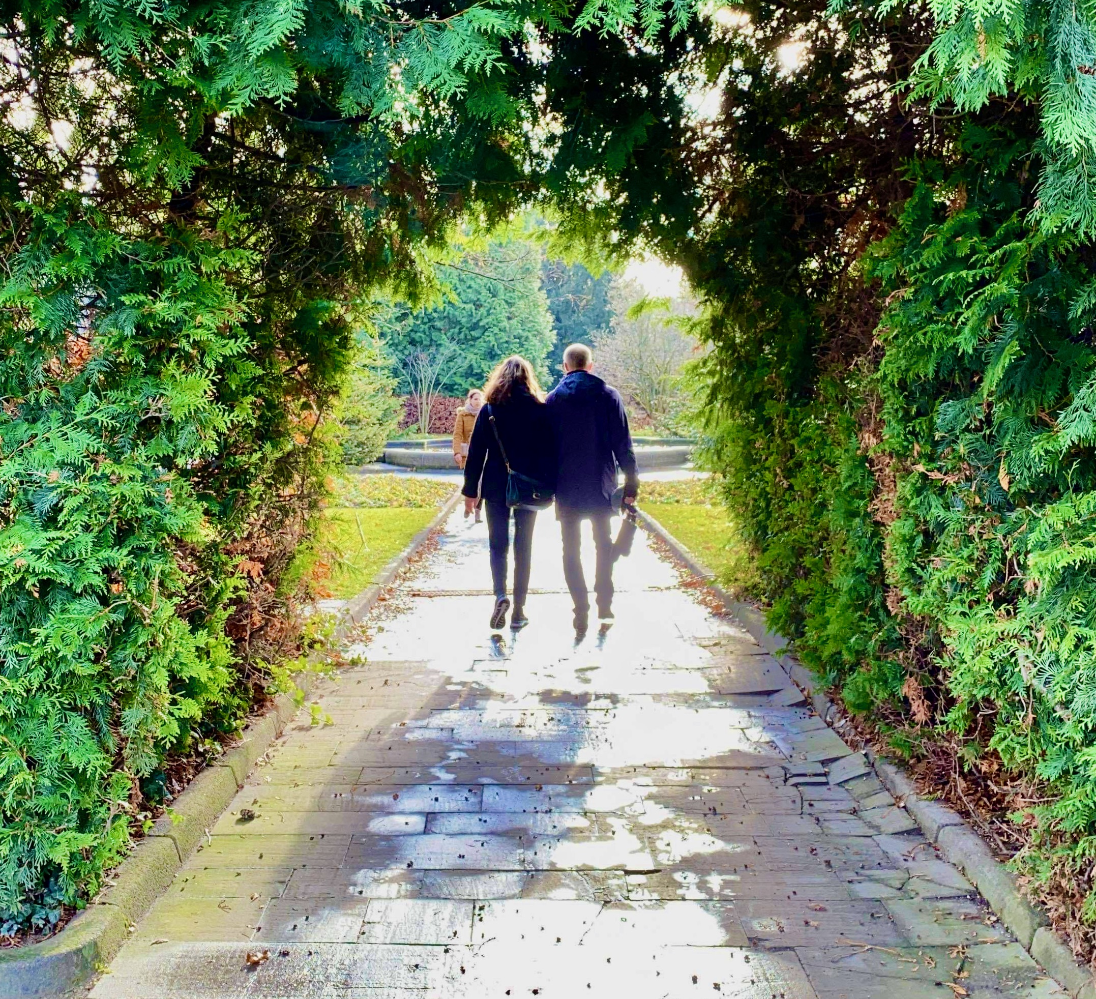 To personer går sammen ad en sti omgivet af grønne træer.