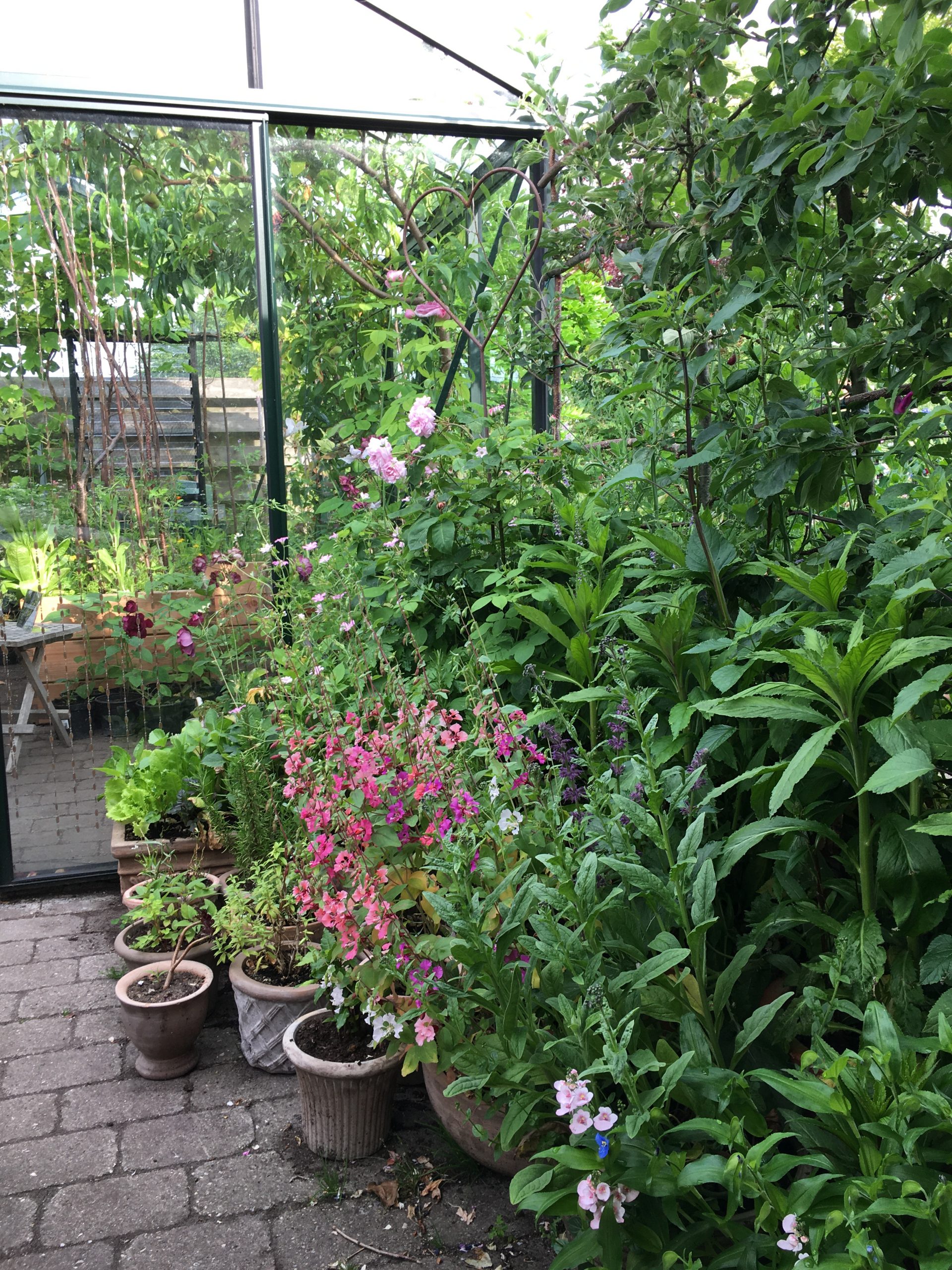 Krukker på Morgenterrassen et haverum i haven hos SusHaveDesign