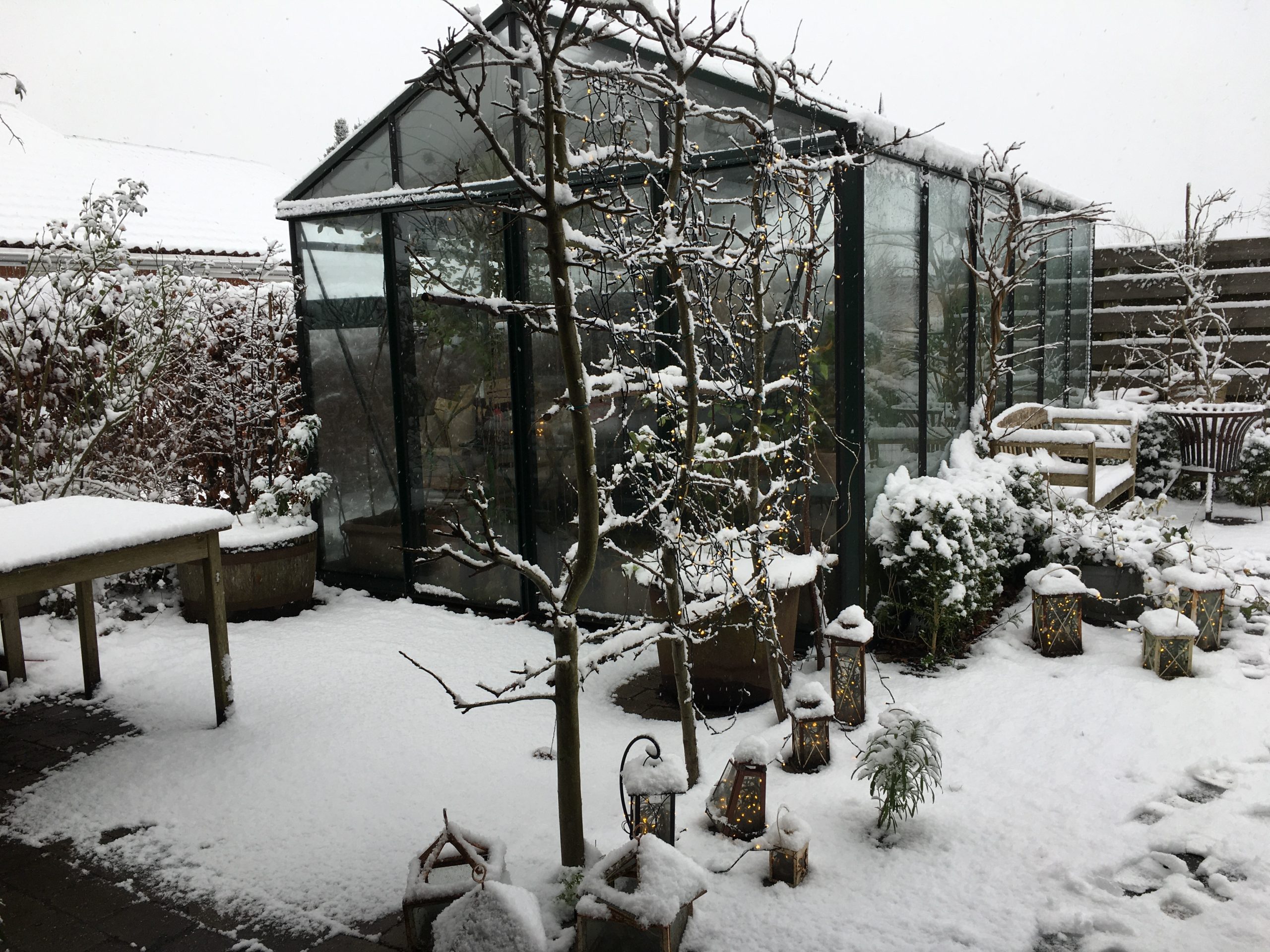 Vinter i Haverummet Morgenterrassen i haven hos SusHaveDesign