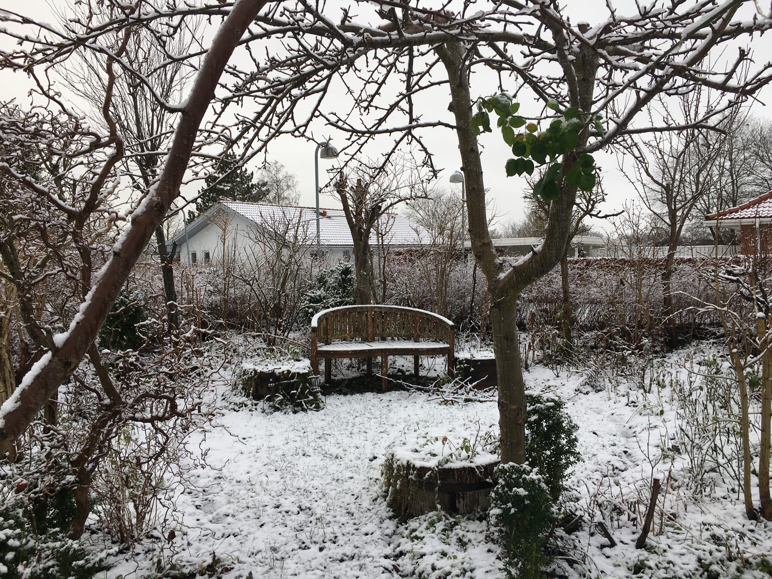 Haverummet cirklerne i haven hos SusHaveDesign kik til Rosenrondellen vinter med sne