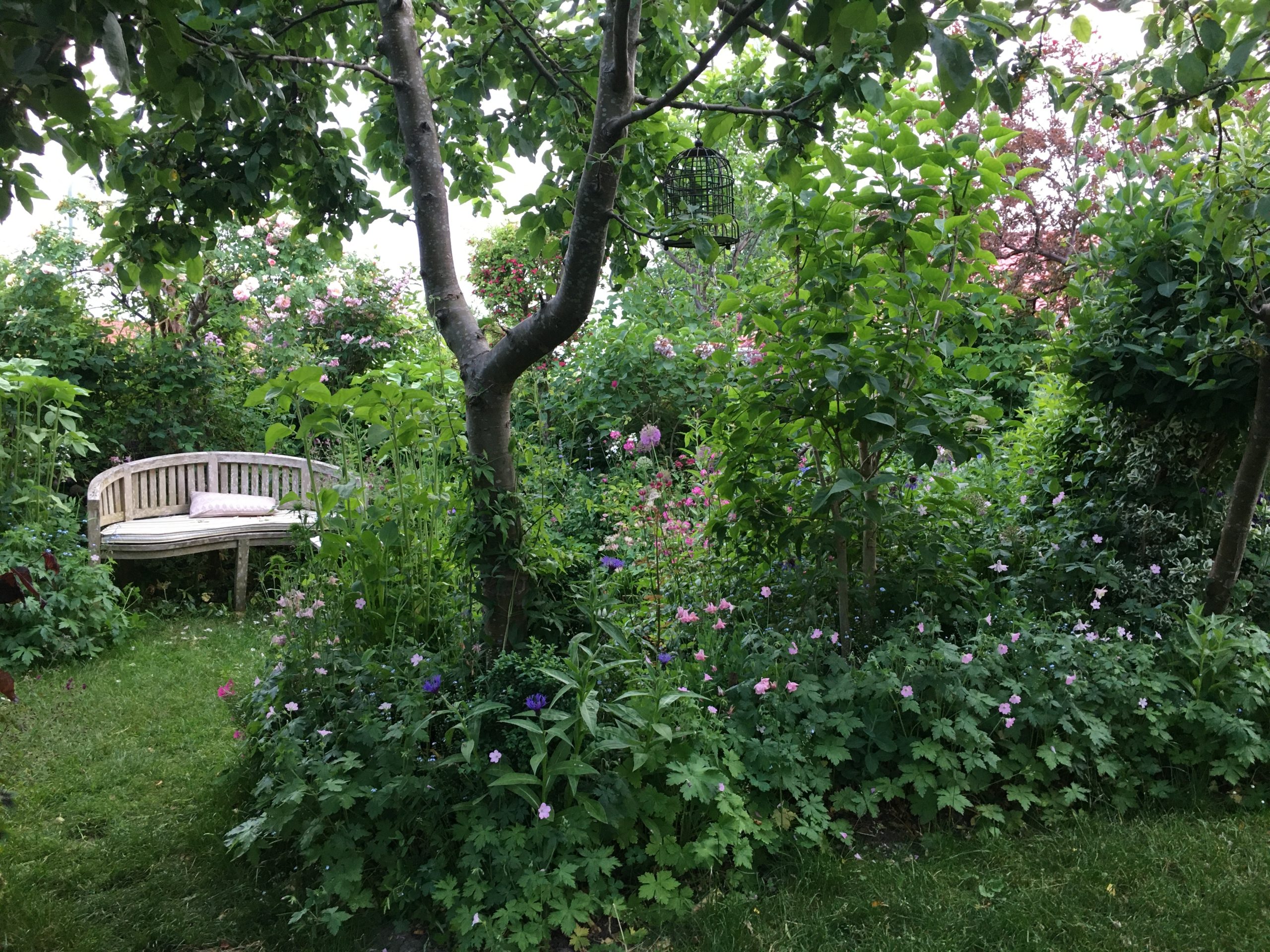 Haverummet cirklerne i haven hos SusHaveDesign kik til Rosenrondellen forår