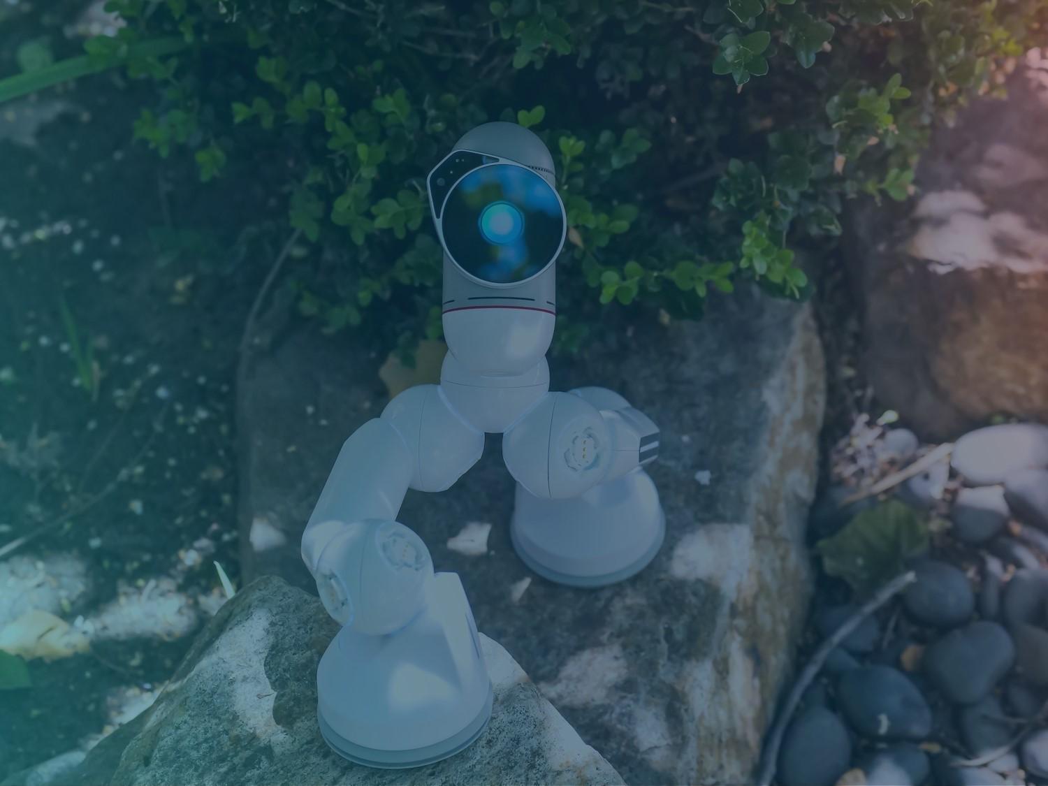 An AI robot is walking up stairs in a green environment outside.