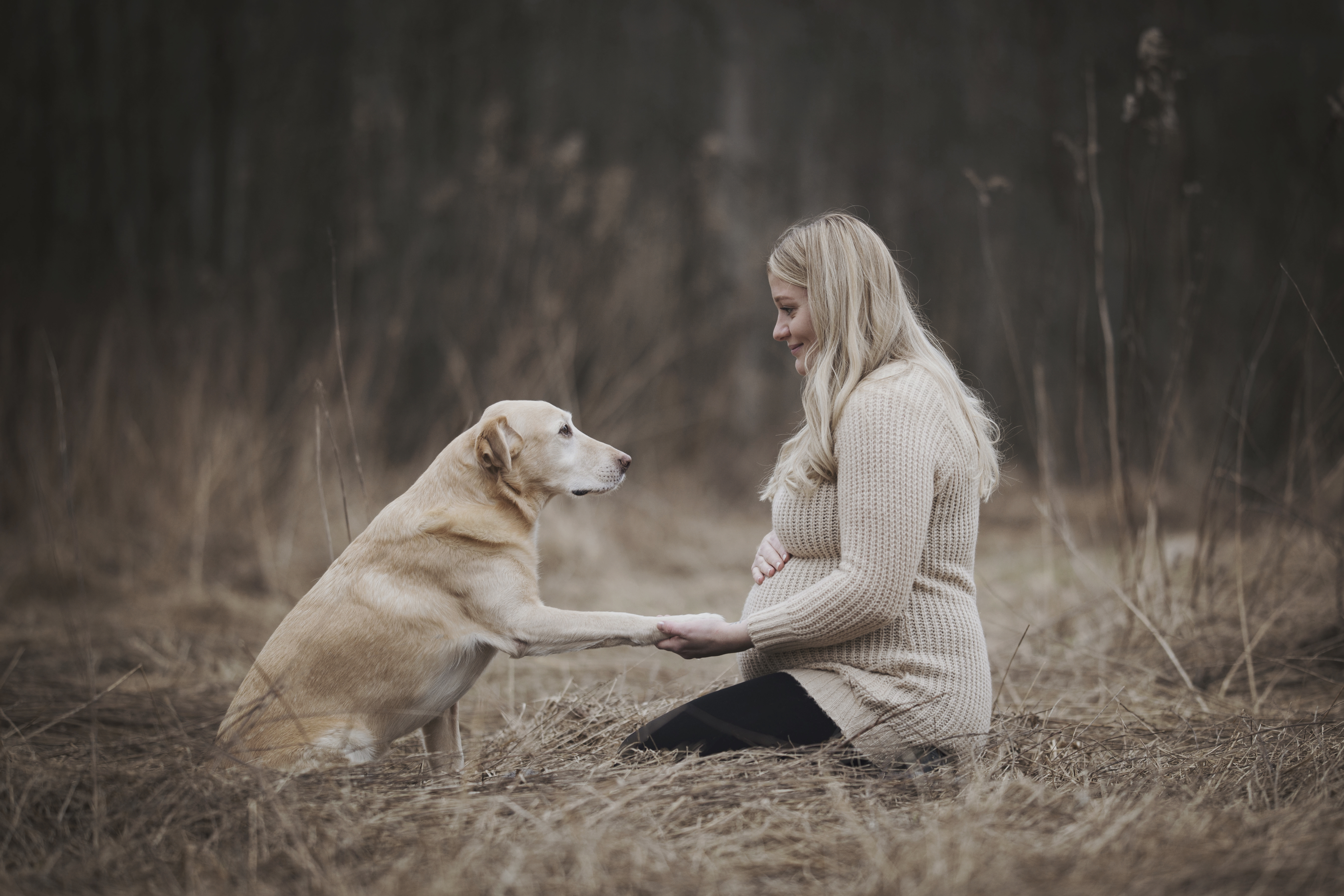 gravidfotograf skövde