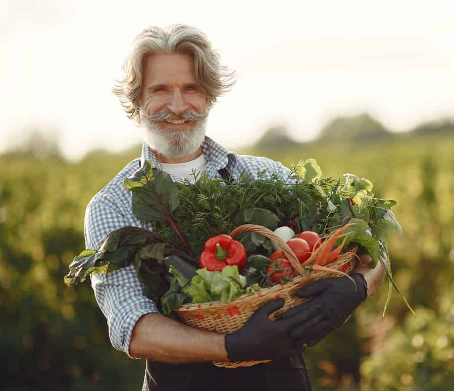 Senior with box vegetables garden background sunse