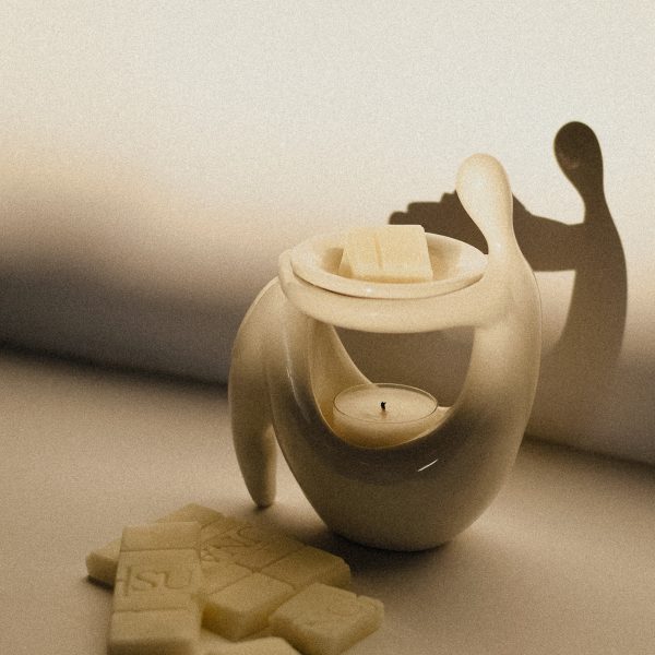 natural-wax-melts