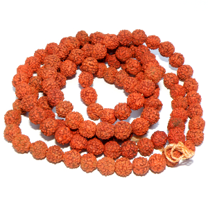 Rudraksha 6 mm