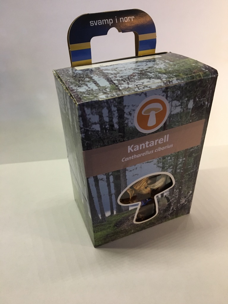 Torkad Kantarell Svamp I Norr