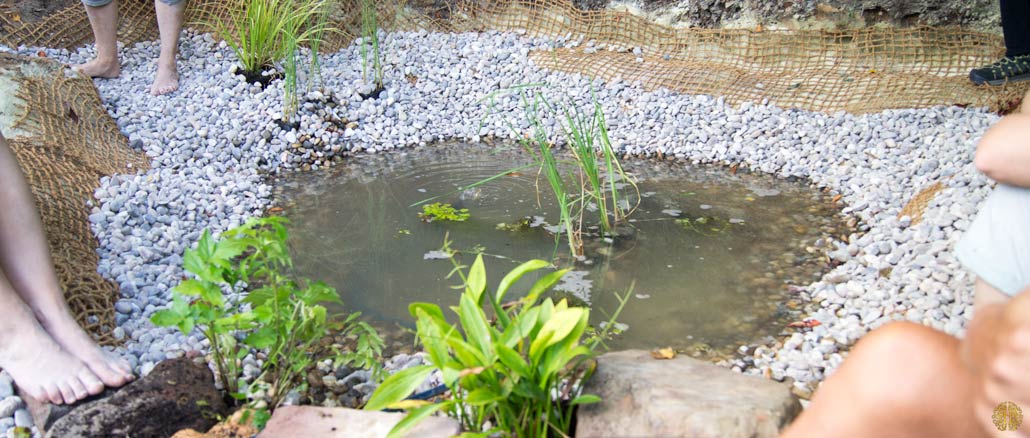 How to make a pond hold water naturally