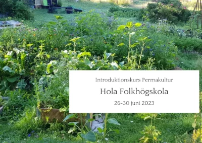 Introduktionskurs Permakultur – Hola Folkhögskola juni 2023