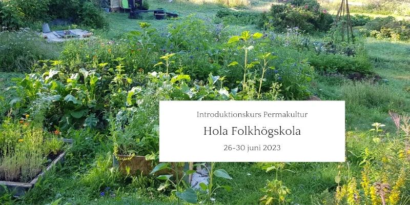 Introduktionskurs Permakultur på Hola Folkhögskola juni 2023