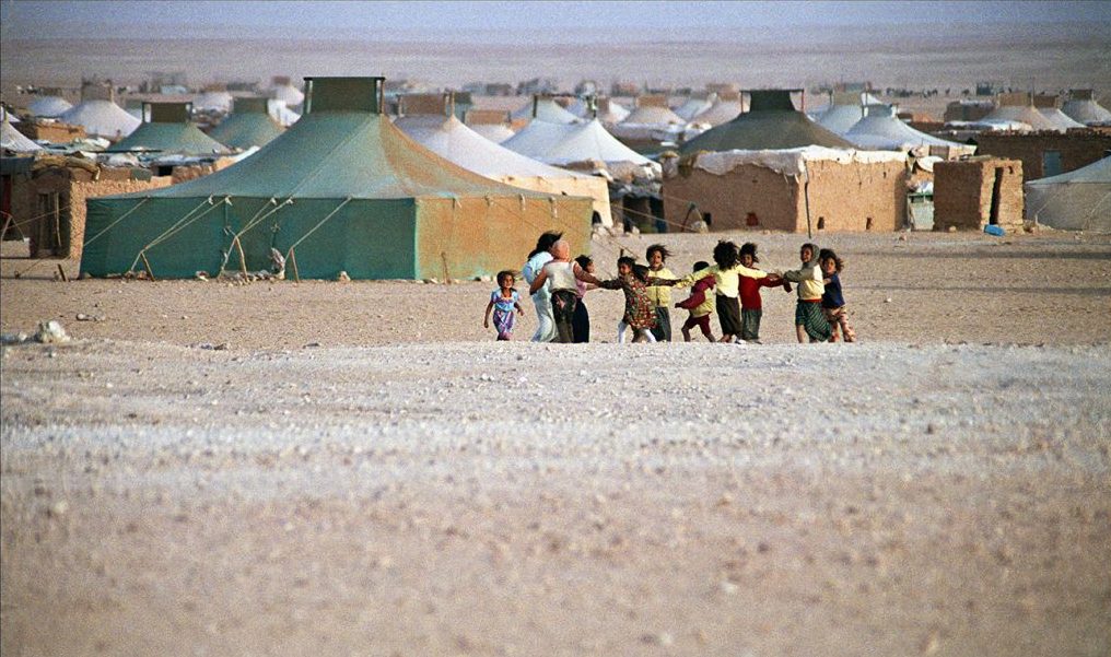 Läs mer om artikeln Svenska riksdagsledamöter studerar Västsahara