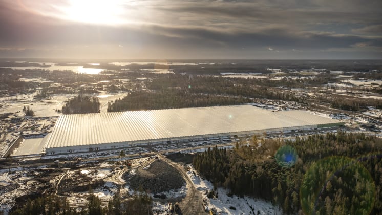 Foto på hydroponisk tomatodling