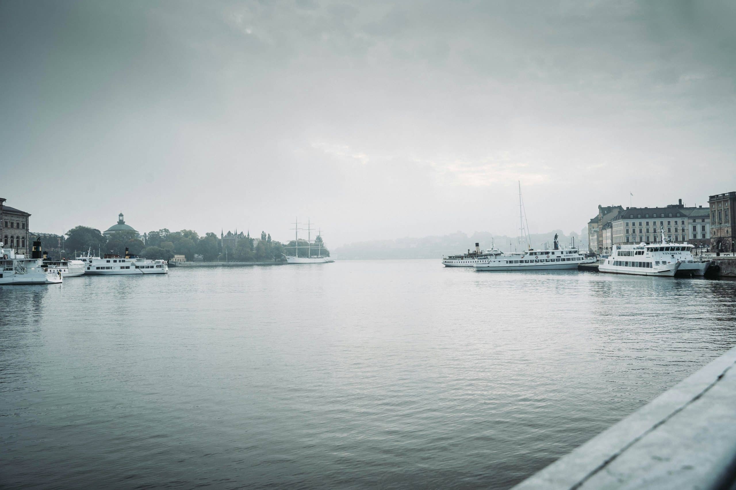 Young woman looking at city skyline in Stockholm