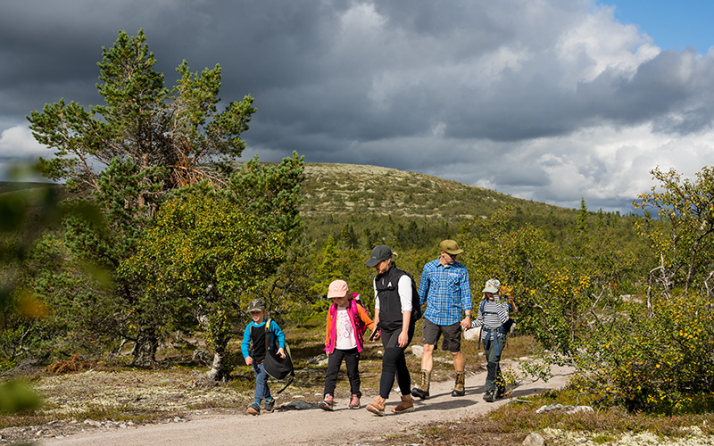 Tre venner på enkel fjeldvandring