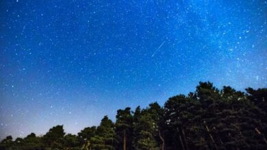 Photo of تعرف الآن على أهم النصائح لترى شهب Perseid في سماء السويد