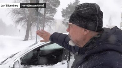 Photo of بسبب الجليد الكثيف… تضرر في خدمة الرعاية المنزلية ” الأولوية للأنسولين والطعام”