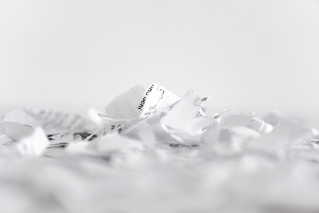 Privacy in the Digital Age: Current State and Future Prospects