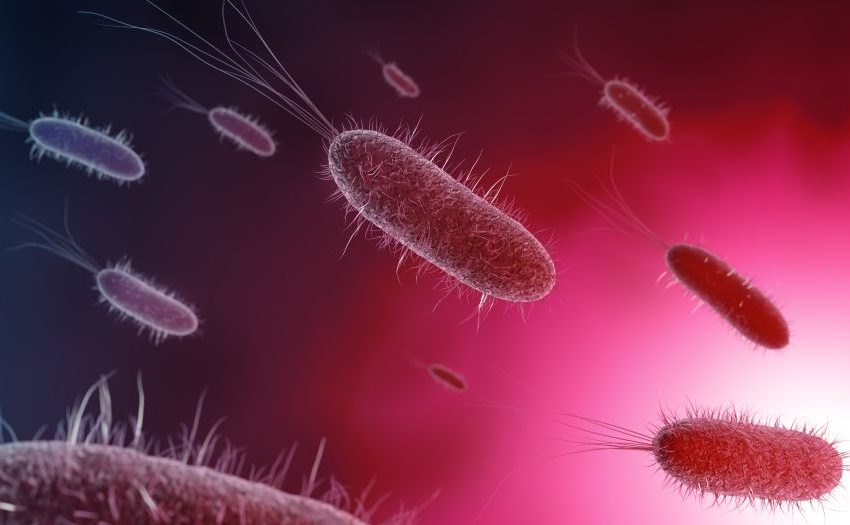  السلطات الصحية تحذر من انتشار بكتيريا جديدة “خطرة”