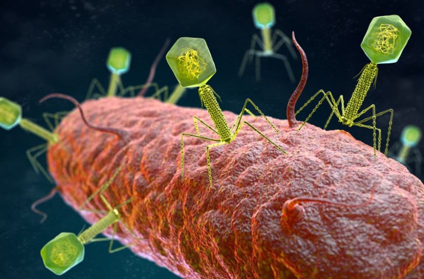  صحيفة سويدية: بكتيريا خطيرة تنتشر بين الأطفال