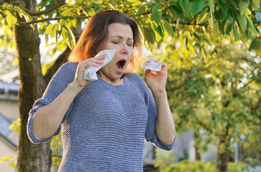 حساسية الربيع في السويد هي الأشد هذا العام