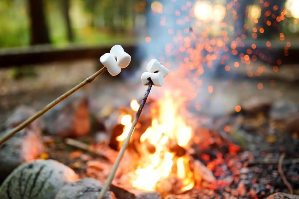 Barn som grillar marshmallows över elden
