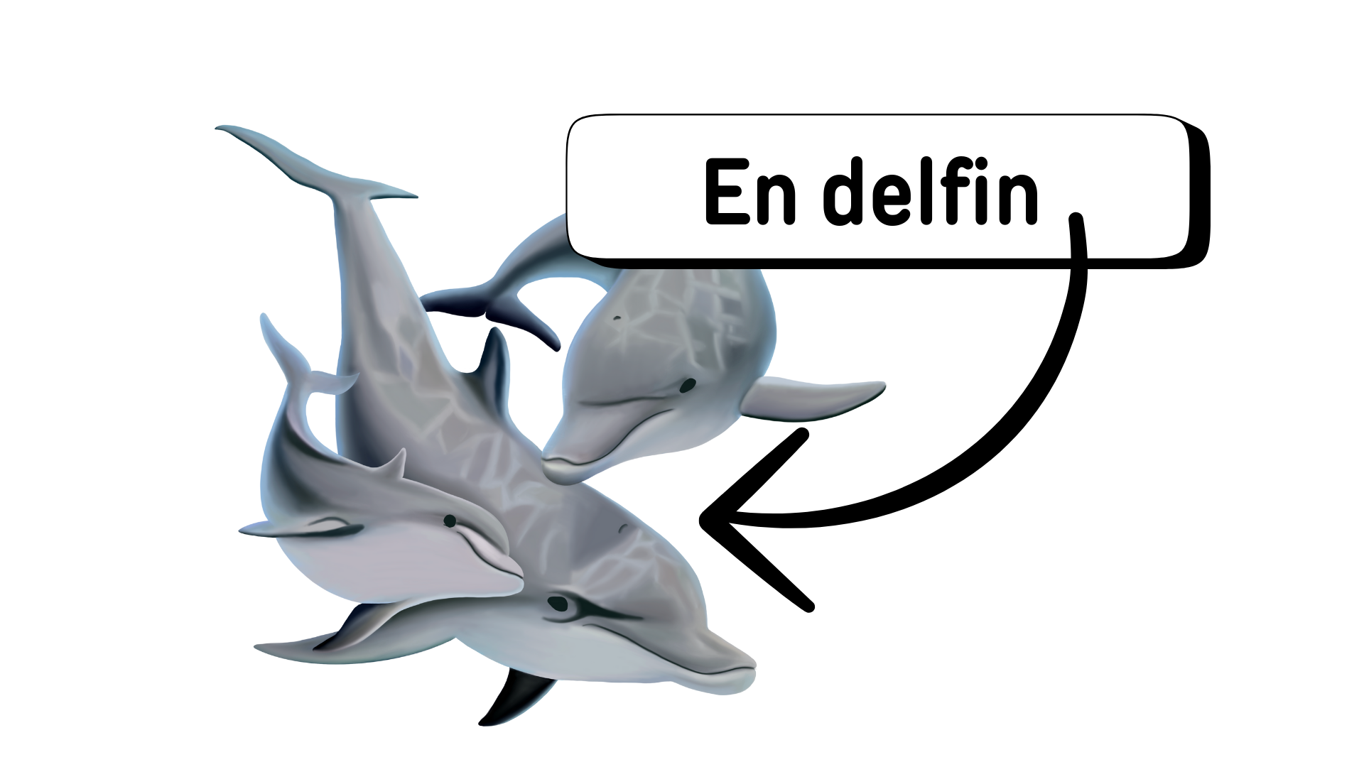 delfiner